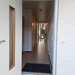 Kilpaekki